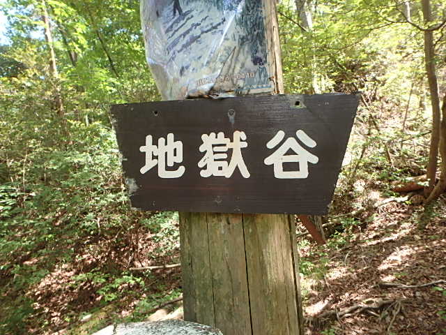 f0334143_8553071.jpg