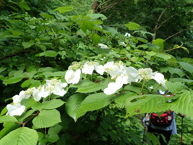 f0214649_02385206.jpg