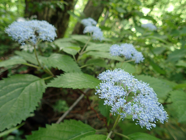 f0214649_02440134.jpg