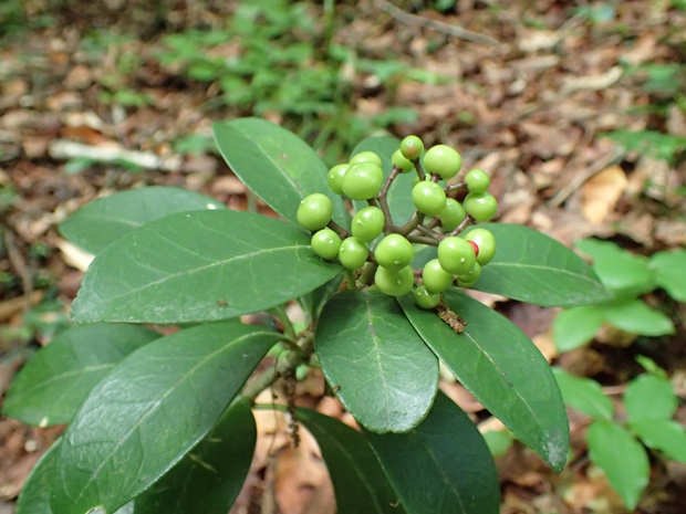 f0214649_02472079.jpg