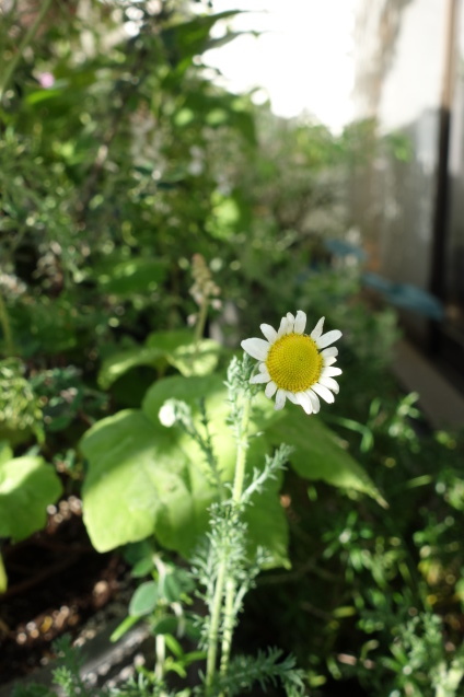 d0255750_07354569.jpg