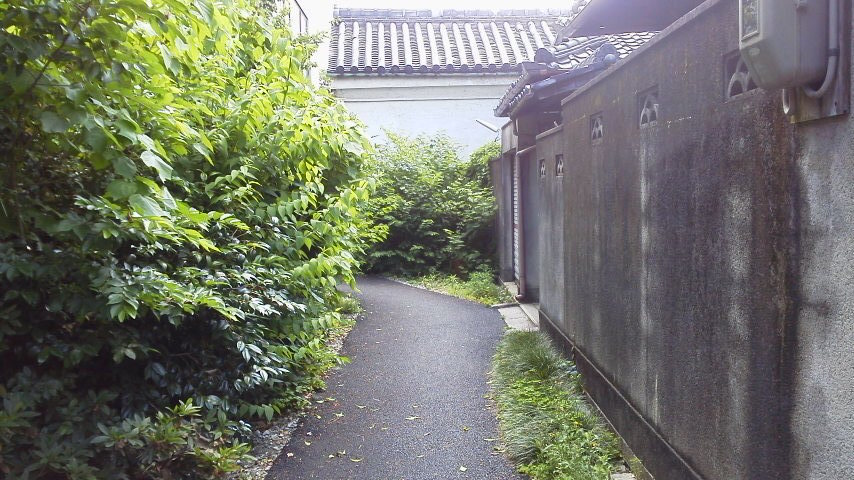 e0036151_23231691.jpg