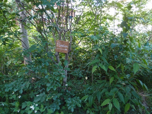 c0354352_21451798.jpg