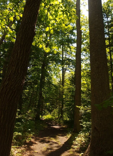 e0004756_21324163.jpg