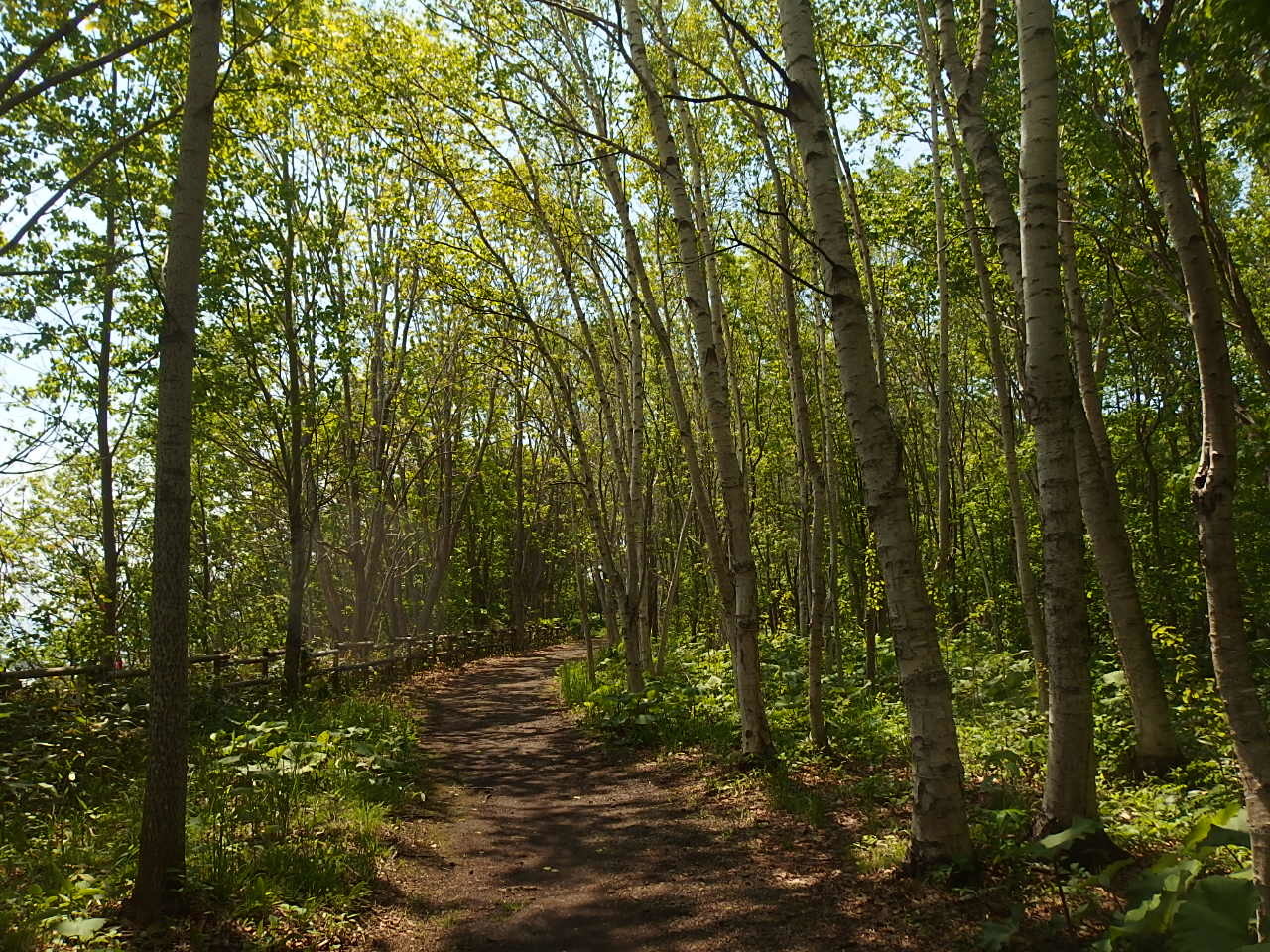 e0004756_21332433.jpg