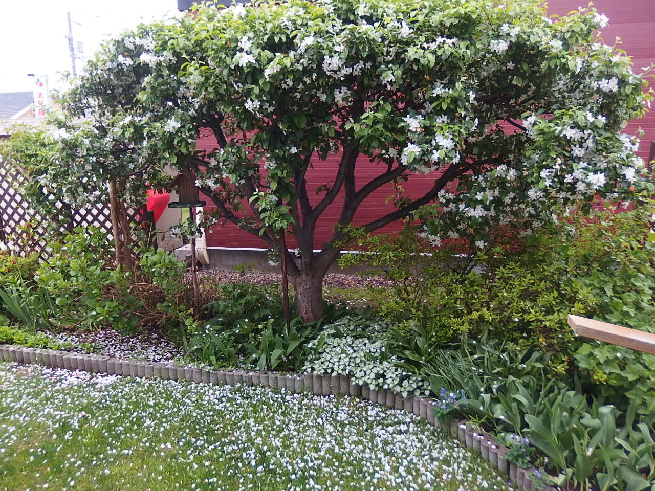 e0004756_21441117.jpg