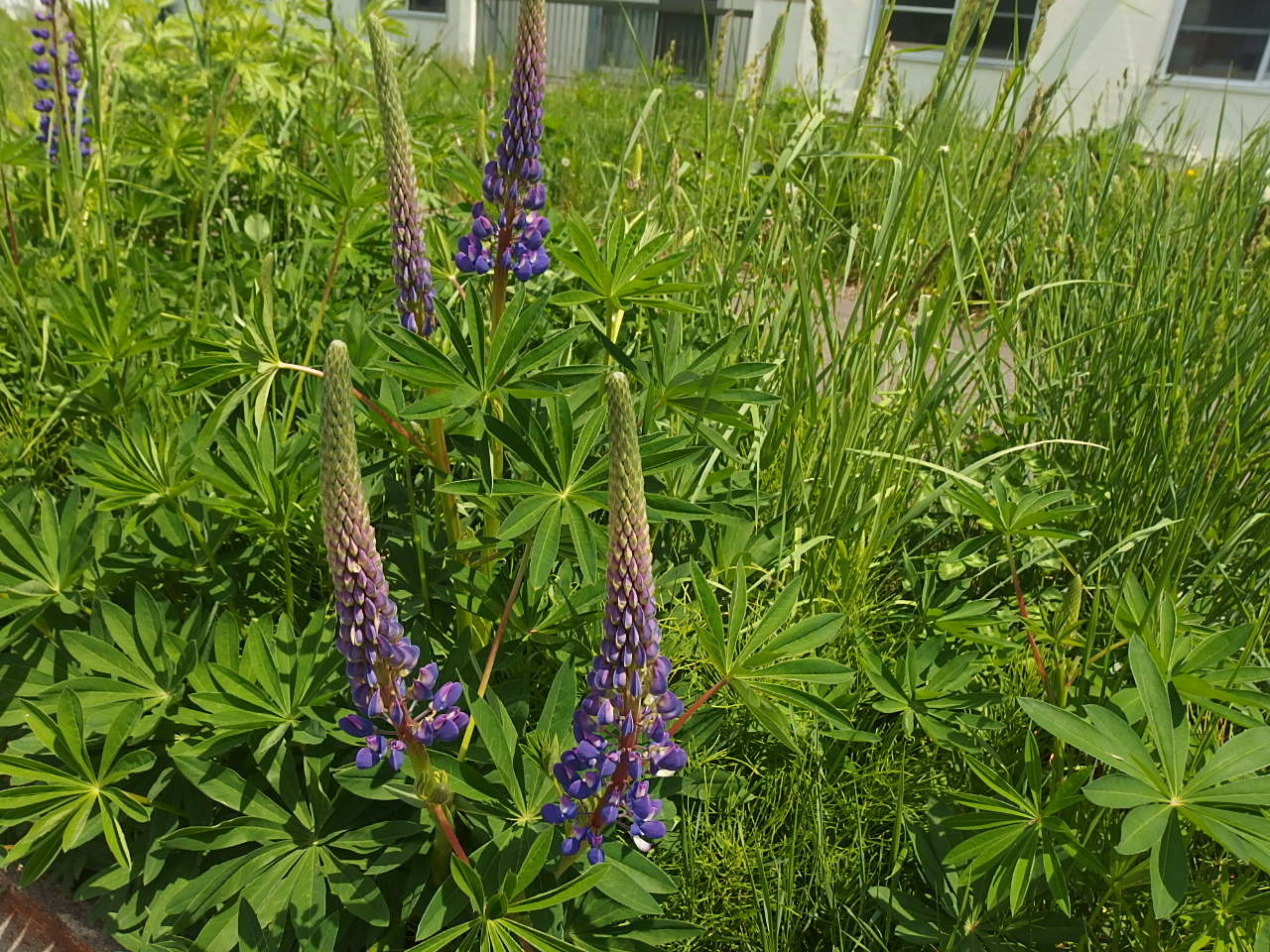 e0004756_22113543.jpg