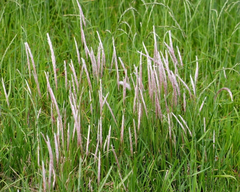 c0305565_17573083.jpg