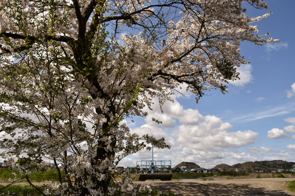 b0001380_21322740.jpg