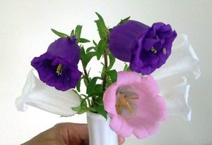 f0153085_16240763.jpg