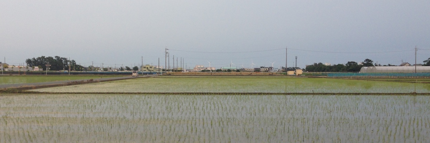 c0170789_11473479.jpg