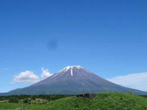 d0212491_221459.jpg