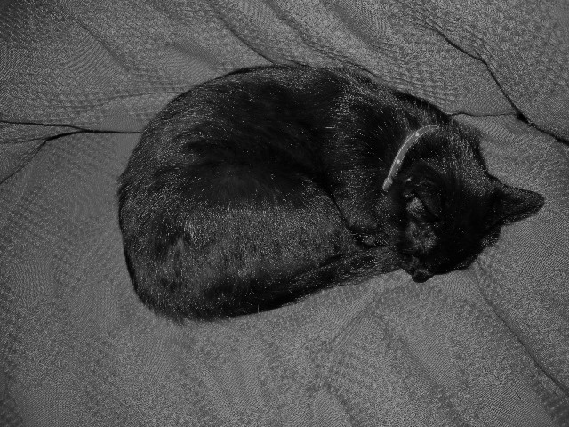 a0199297_12123383.jpg