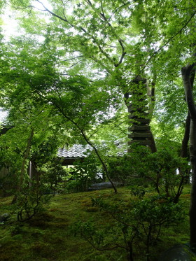 c0172698_1735266.jpg