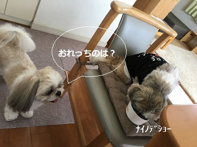 f0372998_22184756.jpg