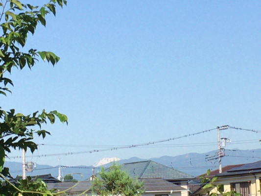 b0160300_13344426.jpg