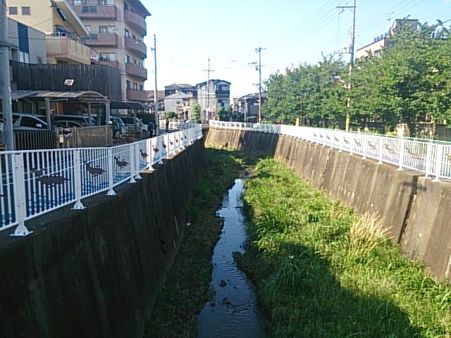 f0096508_17225424.jpg