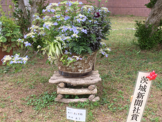 f0162908_23011014.jpg