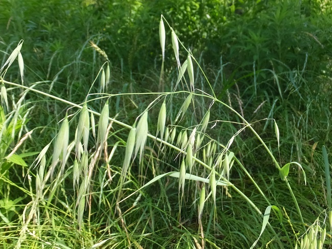 e0360409_15223160.jpg