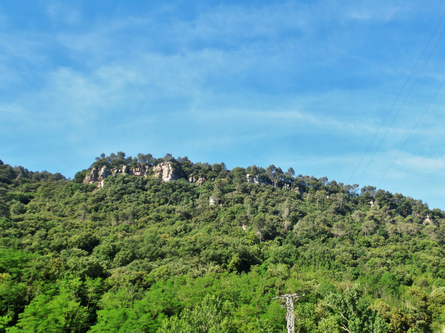 b0064411_07385417.jpg