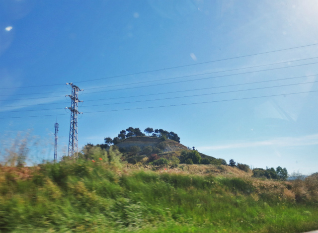 b0064411_07385642.jpg