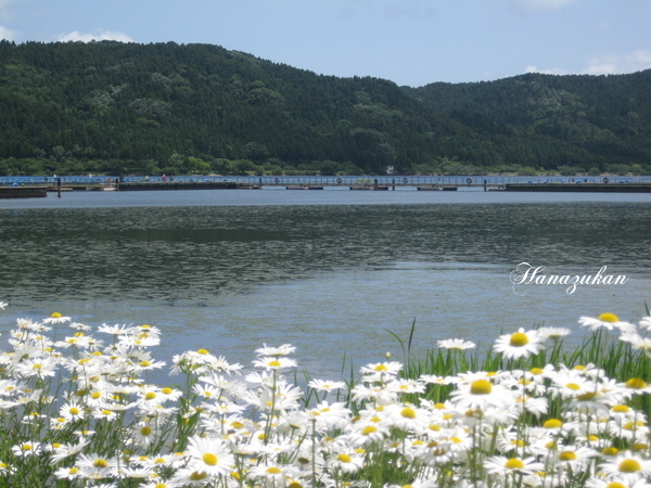 c0352015_22005757.jpg