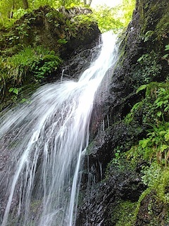 c0359615_21342268.jpg