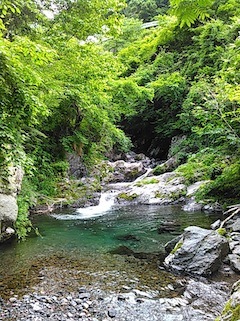 c0359615_21344883.jpg