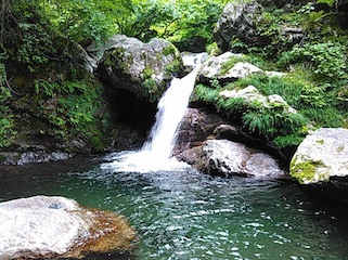c0359615_21350417.jpg