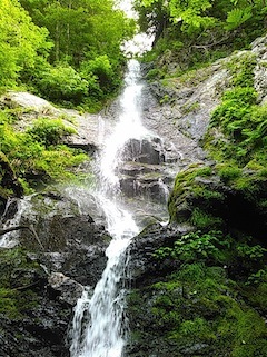 c0359615_21352938.jpg