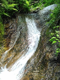 c0359615_21361152.jpg