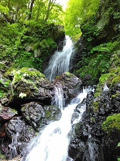 c0359615_21362602.jpg