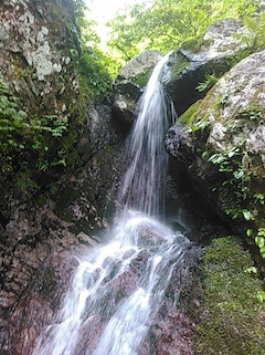 c0359615_21363709.jpg