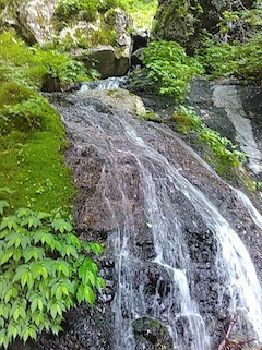 c0359615_21381696.jpg