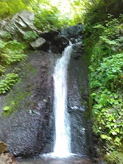 c0359615_21383725.jpg