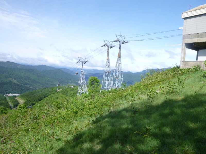 d0170615_19445585.jpg