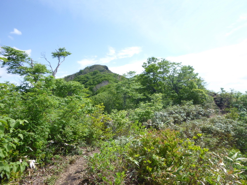 d0170615_19451743.jpg