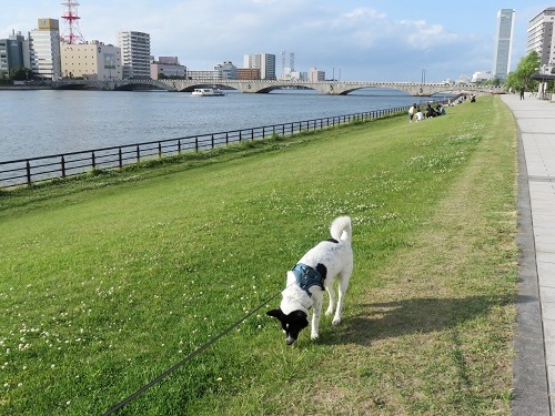 c0084117_20132568.jpg