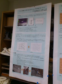 d0106518_19553240.jpg