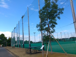 d0106518_19562330.jpg