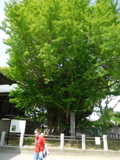 e0345320_00502640.jpg