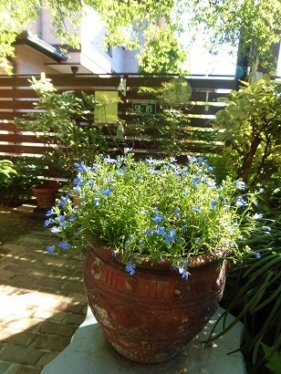 c0204121_19165775.jpg