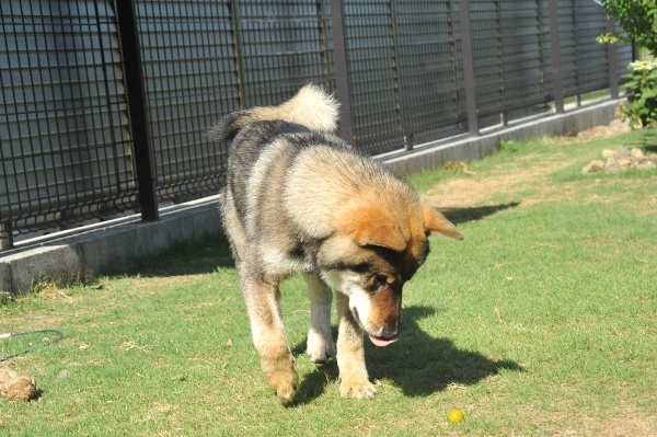 f0143123_09425105.jpg
