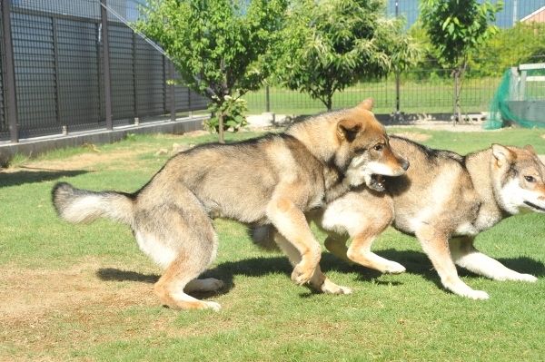 f0143123_09433190.jpg
