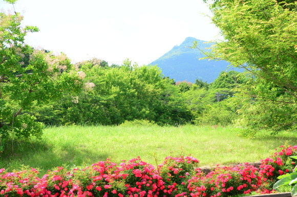 f0147025_18115273.jpg