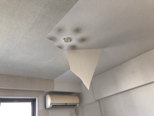 c0204027_17333469.jpg