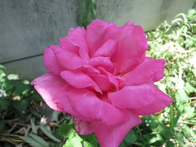 f0225627_2152347.jpg