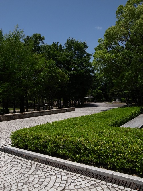 b0036636_22552298.jpg