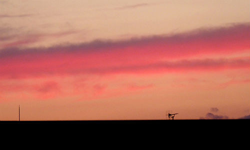 d0039443_22513456.jpg