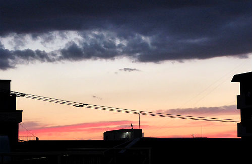 d0039443_2251429.jpg